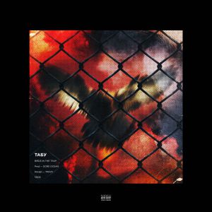 ТАБУ - Birds In The Trap ТАБУ - Birds In The Trap