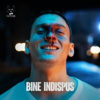 The Motans - Bine Indispus The Motans - Bine Indispus