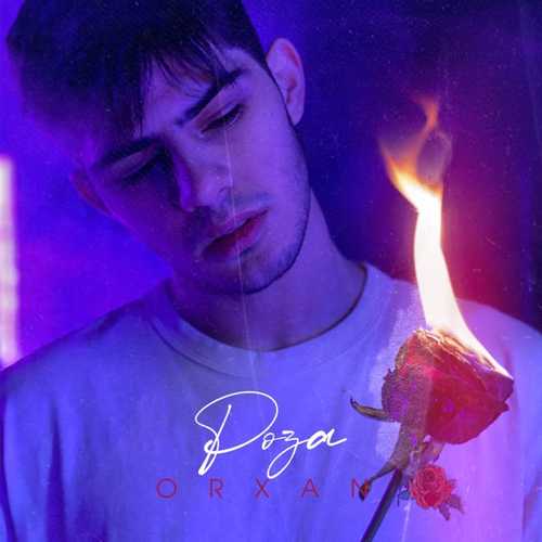 Orxan - Роза Orxan - Роза