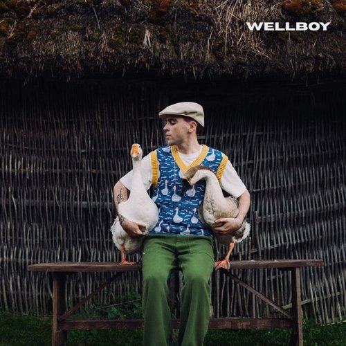 Wellboy - Гуси Wellboy - Гуси