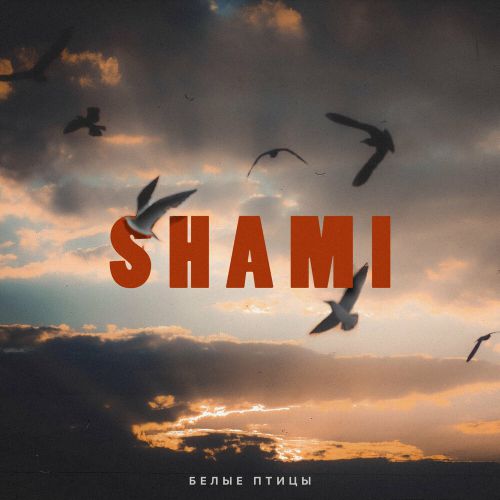 Shami - Белые Птицы Shami - Белые Птицы