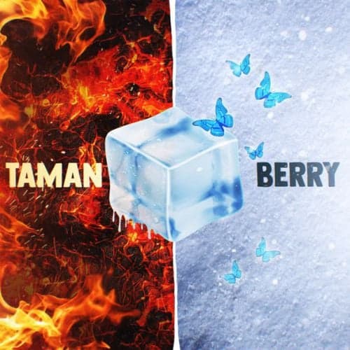Taman - Мальвина (feat. Berry) Taman - Мальвина (feat. Berry)
