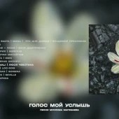MIRAVI, Merab Amzoevi - Шум берёз MIRAVI, Merab Amzoevi - Шум берёз