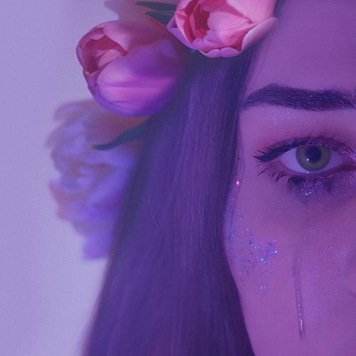 Maalika - Тюльпаны Maalika - Тюльпаны