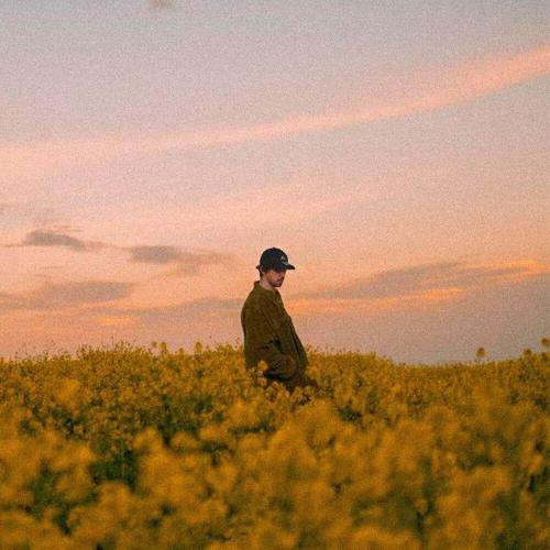 LISOVSKY - Мелодия LISOVSKY - Мелодия