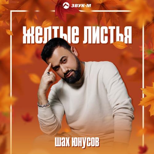 Шах Юнусов - Желтые листья Шах Юнусов - Желтые листья
