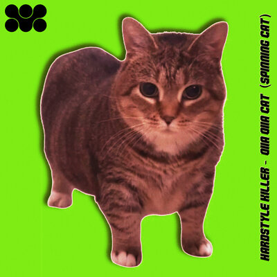 Hardstyle Killer - OIIA OIIA CAT (SPINNING CAT)