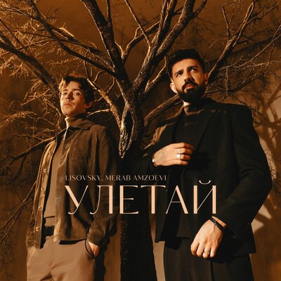 LISOVSKY & Merab Amzoevi - Улетай LISOVSKY & Merab Amzoevi - Улетай