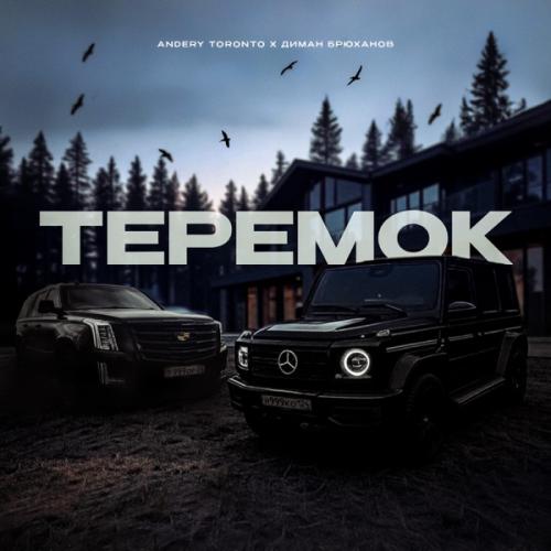 Andery Toronto, Диман Брюханов - ТЕРЕМОК Andery Toronto, Диман Брюханов - ТЕРЕМОК