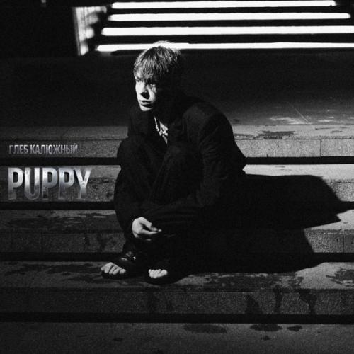 Глеб Калюжный - PUPPY Глеб Калюжный - PUPPY