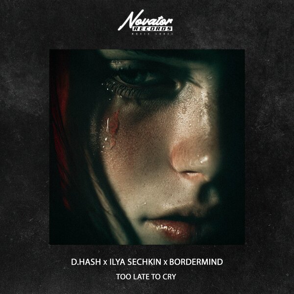 D Hash & ILYA SECHKIN & BORDERMIND - Too Late to Cry