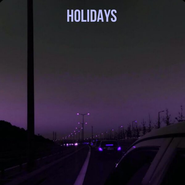 wenvet - HOLIDAYS