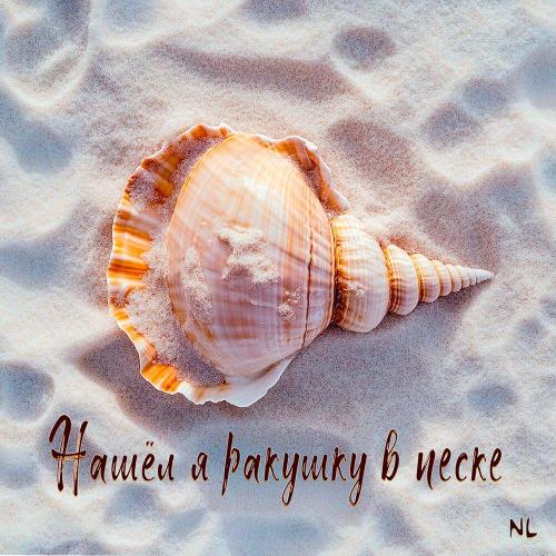 NL - Нашёл я ракушку в песке