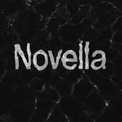 Бау, FAVIA, ШкольниК - Novella