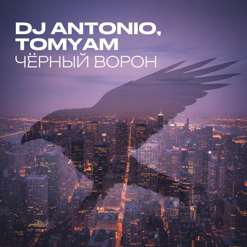 Dj Antonio, TomYam - Чёрный ворон Dj Antonio, TomYam - Чёрный ворон