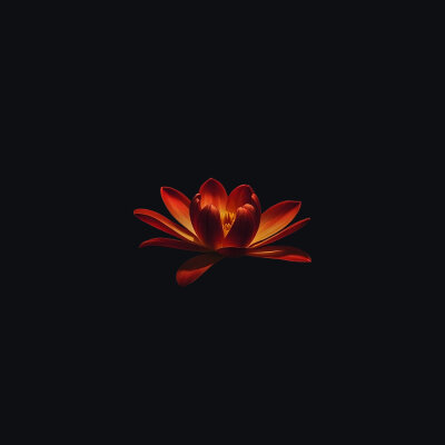 iOSTRA - Чувства
