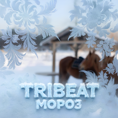 Tribeat - Мороз Tribeat - Мороз