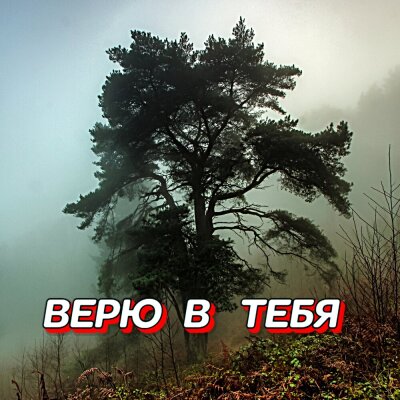 Гравитация - Бессонница Гравитация - Бессонница