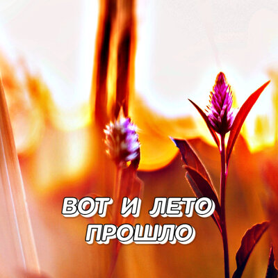Гравитация - Вот и лето прошло Гравитация - Вот и лето прошло