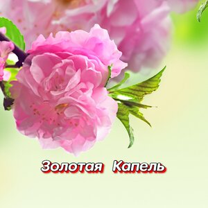 Гравитация - УКРАДИ МЕНЯ Гравитация - УКРАДИ МЕНЯ