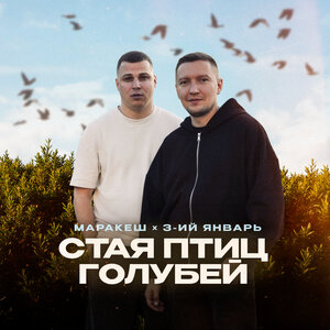 Маракеш, 3-ий Январь - Стая птиц голубей