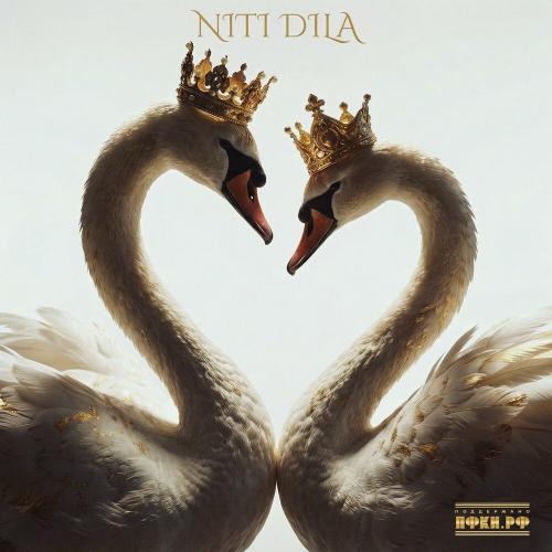 NITI DILA - Белые лебеди NITI DILA - Белые лебеди