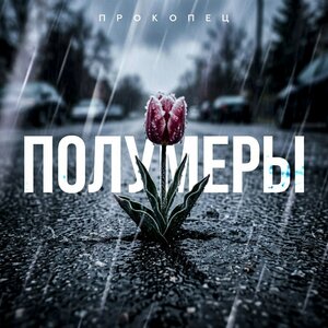 Прокопец - Полумеры