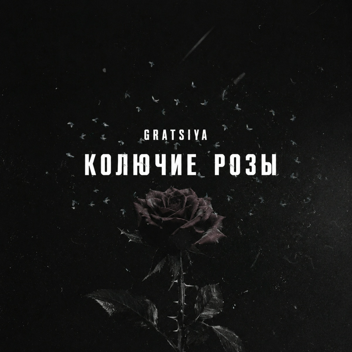 GRATSIYA - Колючие розы