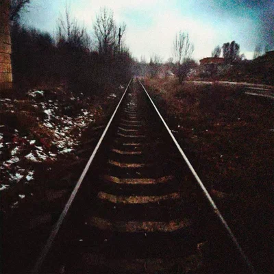 Поларойд - рельсы