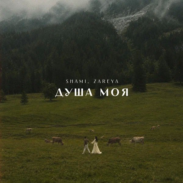 SHAMI & Zareya - Душа моя